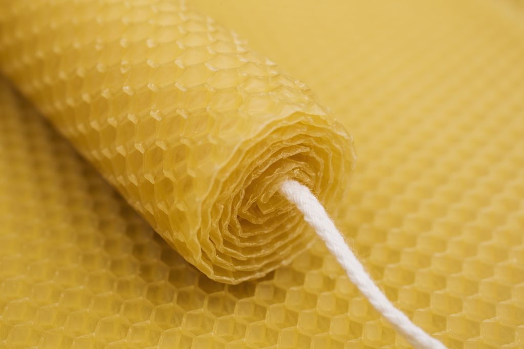Close-up of yellow honeycomb